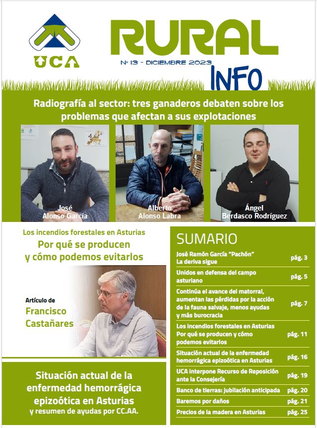 Portada de la revista nº 13.